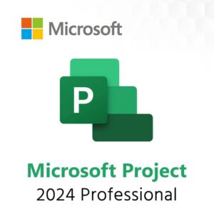 Ms Project Professional 2024